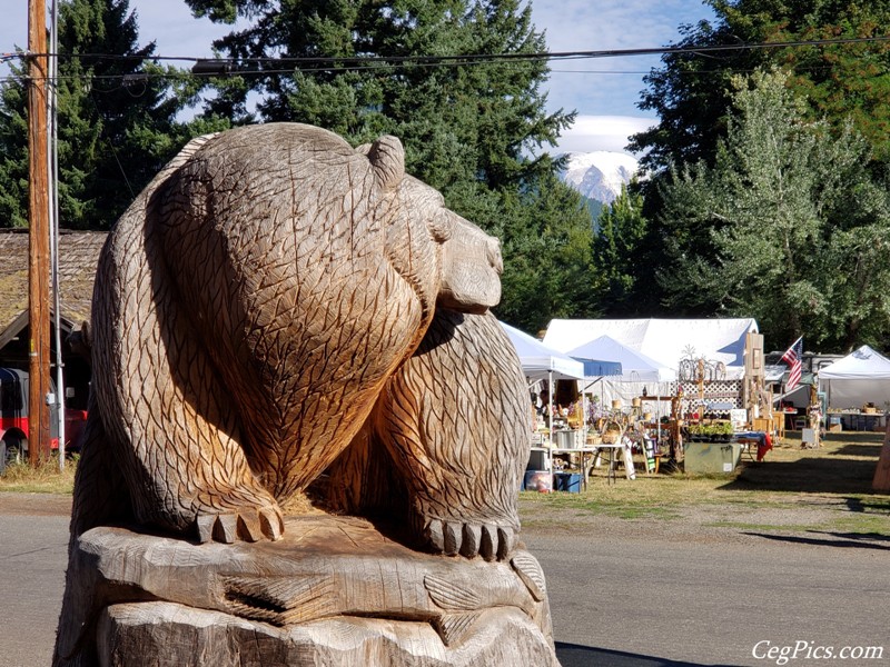 Packwood Flea Market