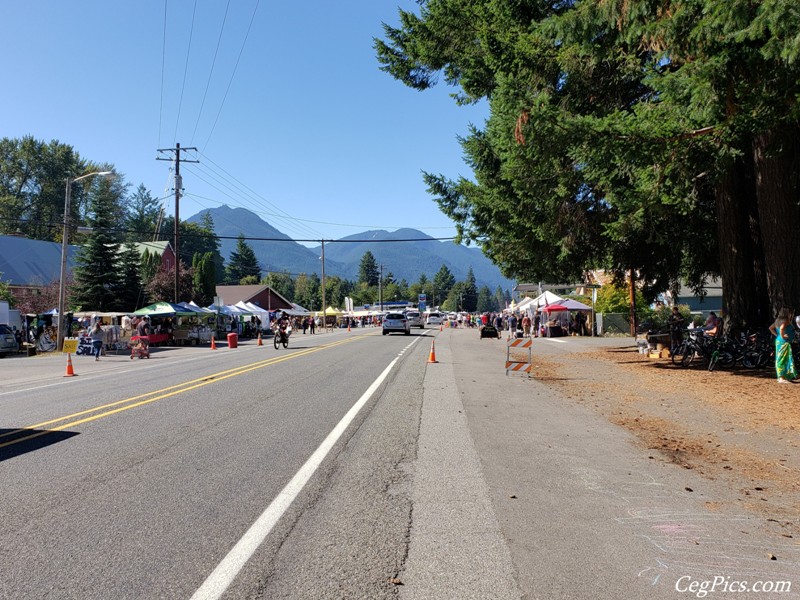 Packwood Flea Market