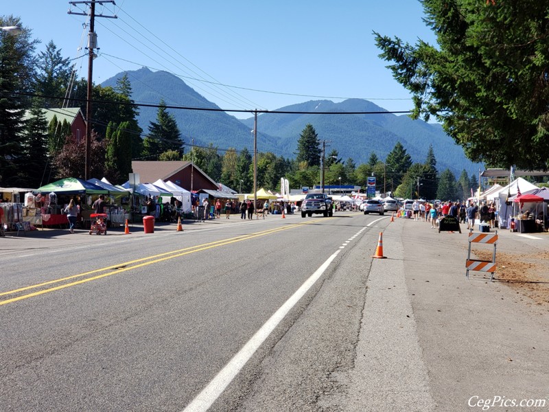 Packwood Flea Market