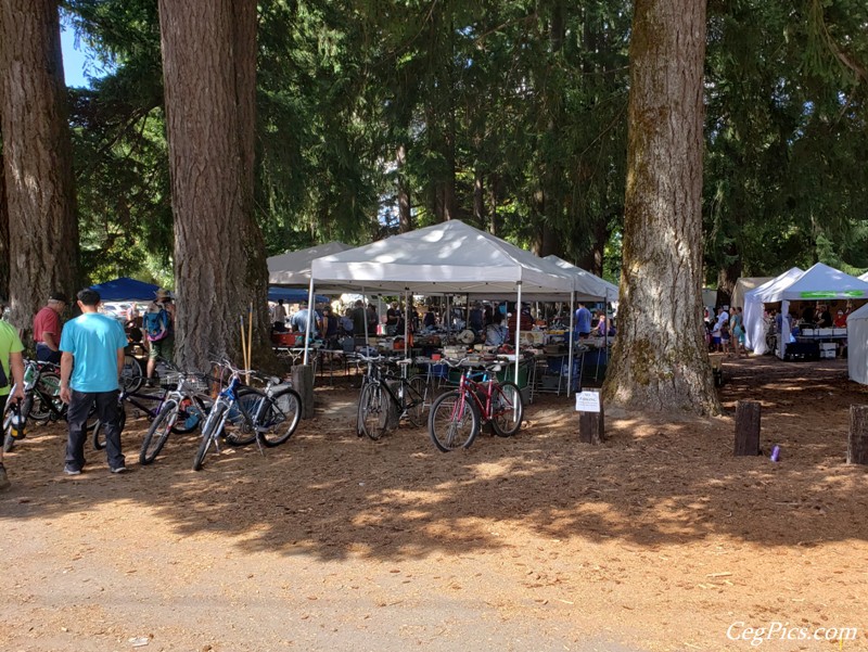 Packwood Flea Market